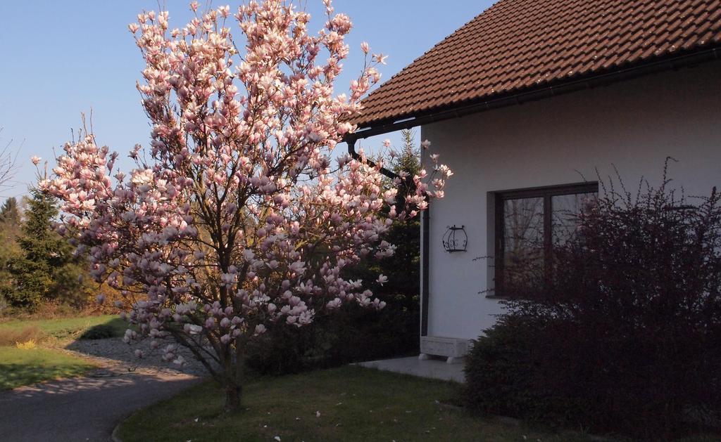 Apartmany Pod Kozakovem Tatobity 외부 사진